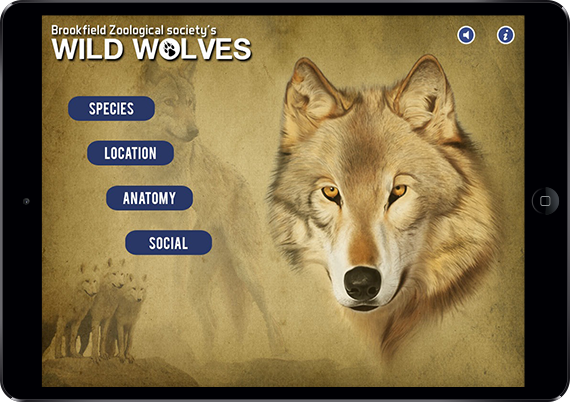 Wild Wolves Exhibit App